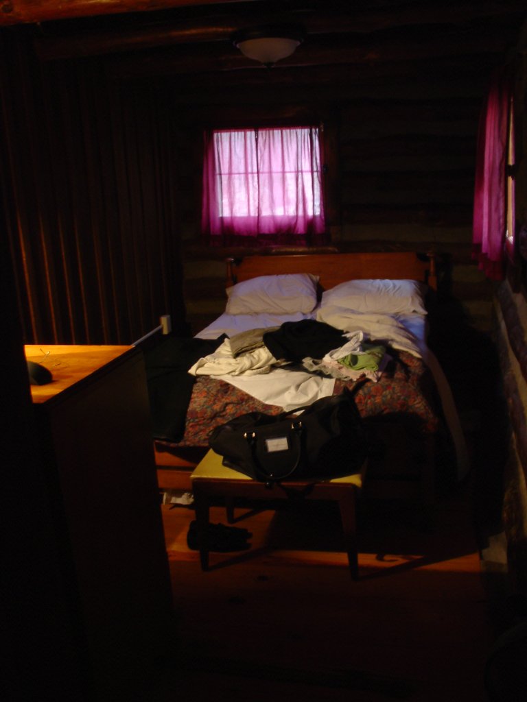 Cabin 3 Bedroom