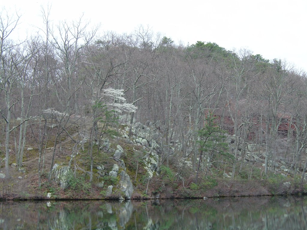 Cacapon Resort State Park Lake and Beach