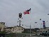 Paw Paw Flag
