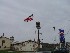 Paw Paw Flag