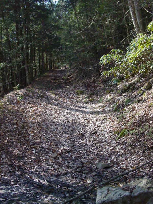 Closed Trail - Click to Enlarge