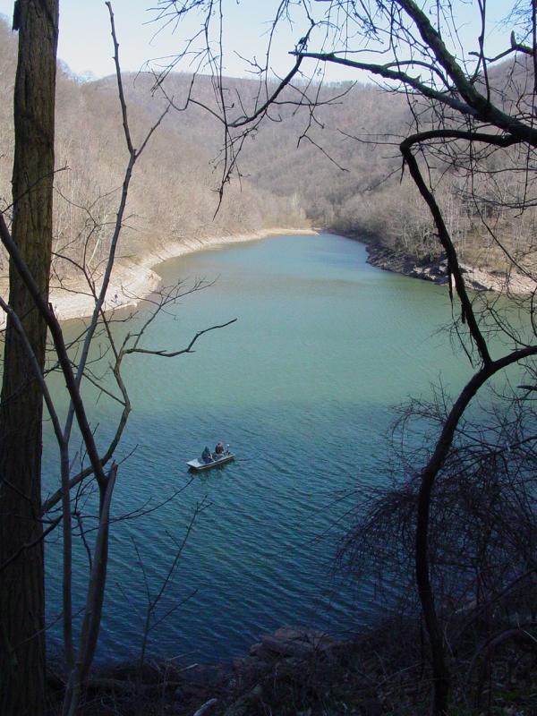 Savage River