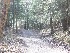 Trail