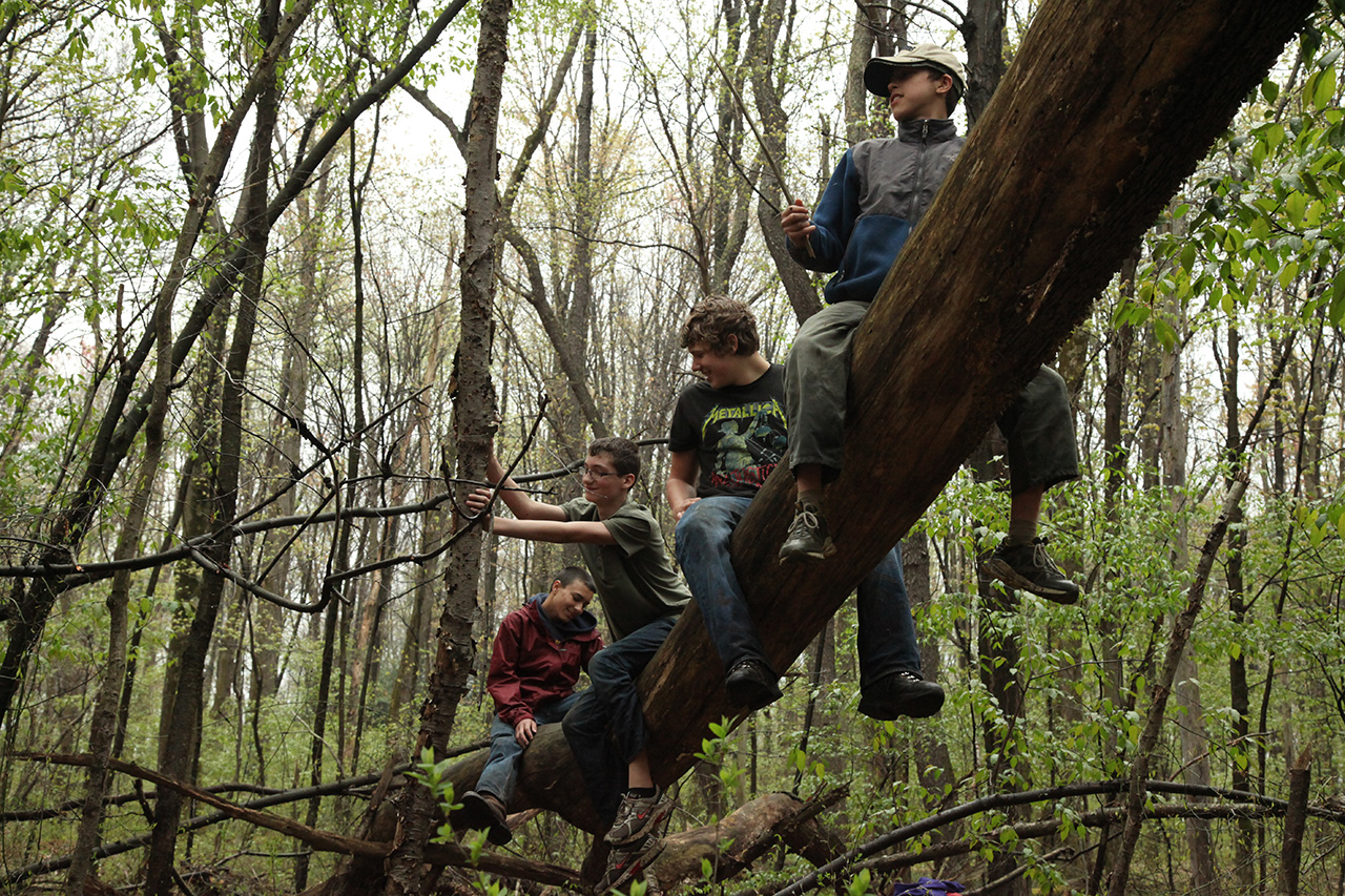 Older Patrol Excursion