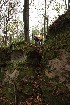 Older Patrol Excursion