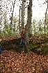 Older Patrol Excursion