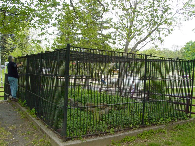 Caged