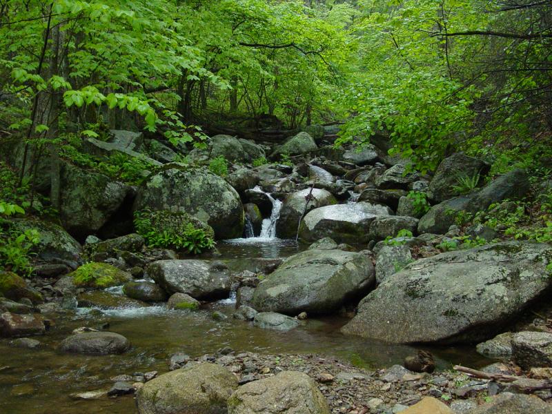 Shoe Creek
