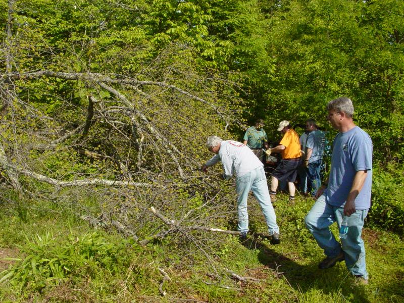 Some Trail Clearing