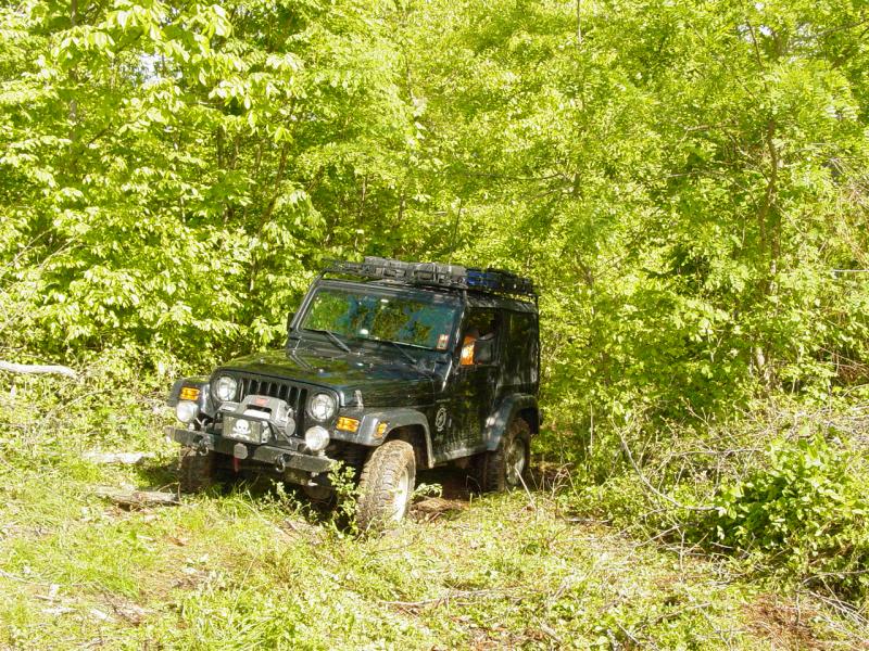 Trail Cleared