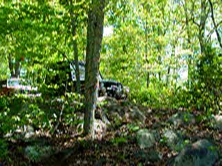 Movie: MOV01010.MPG Paul on the Fins