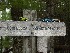ppro Jeep Club