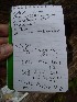 Signed the Log