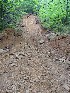 Shoe Creek