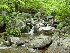 Shoe Creek