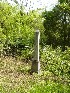 Sneed's Monument