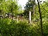 Sneeds Burial Plot