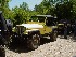 Nice CJ