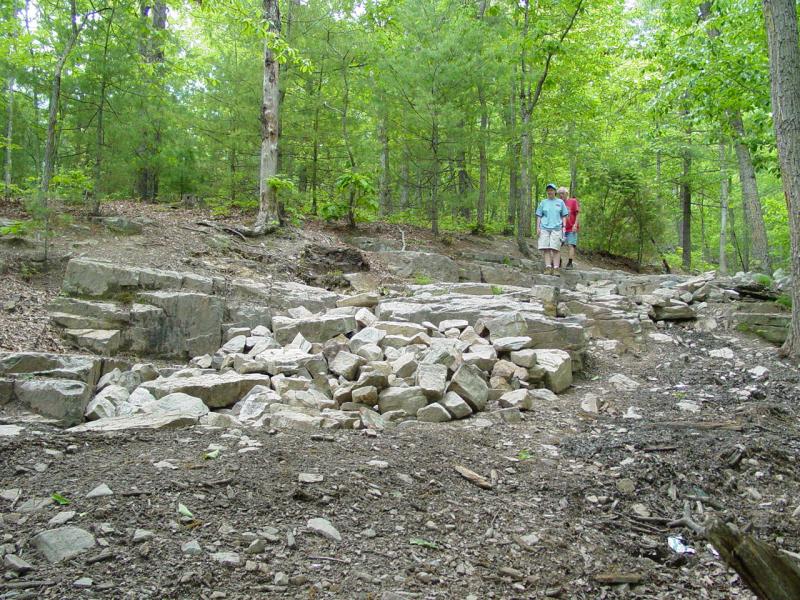 Dictum (Paved)