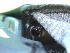 Bestop Windshield Channel Installed - the mystery channel configuration - note round channel with dowel-like insert from bikini