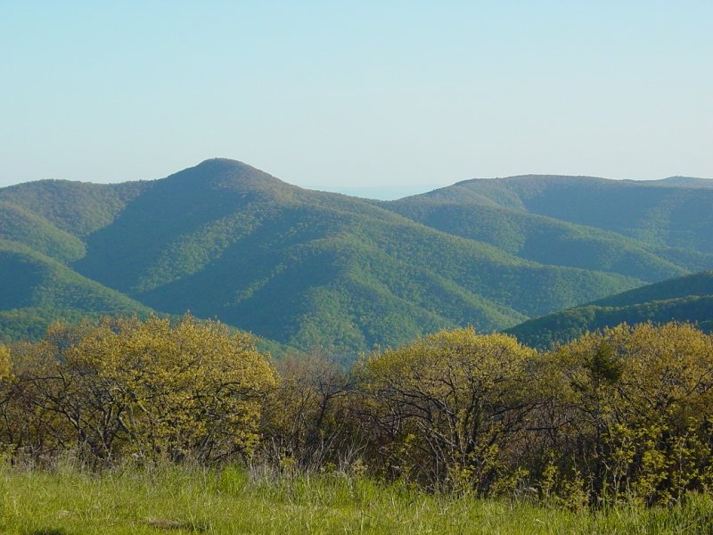 Morning on Meadow Knob
