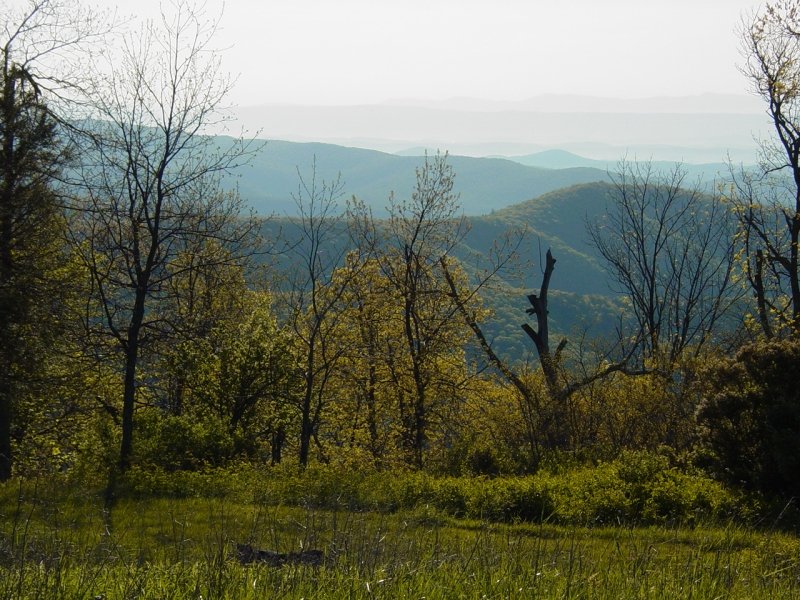 Morning on Meadow Knob