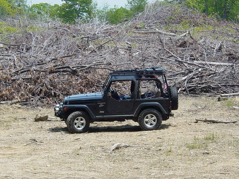 Detail of stripped area