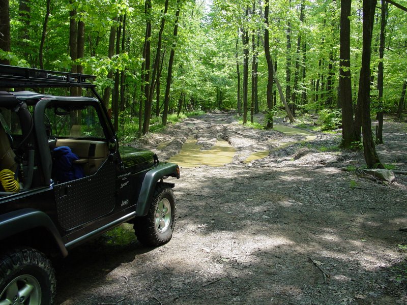 Muddy Area
