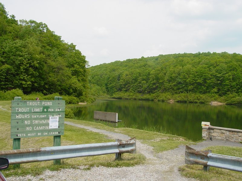 Trout Pond