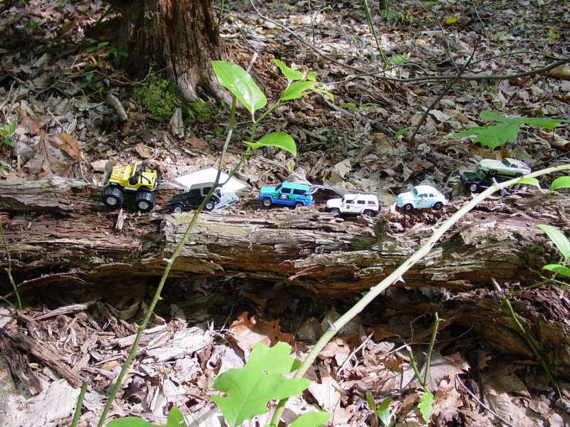 ppro Jeep Travel Bug Club