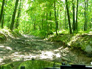 Sandy Springs Road