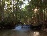 Tolliver Falls at Swallow Falls State Park