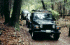 Old Long Run tree clearing detail