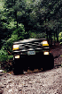 Old Long Run