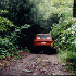 Old Long Run