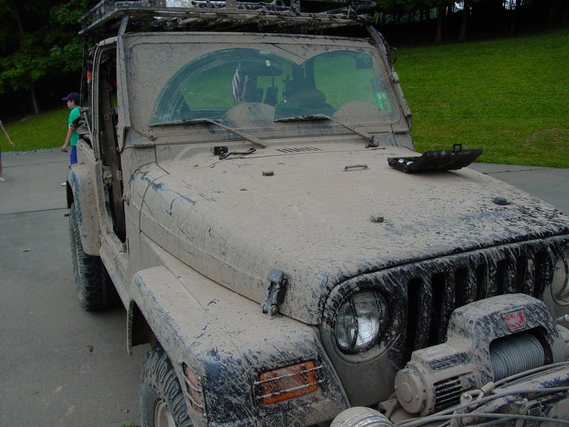 What color was it?