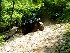 Bee Run and Down the Cheat Cache
