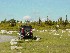 Parking near Dolly Sods