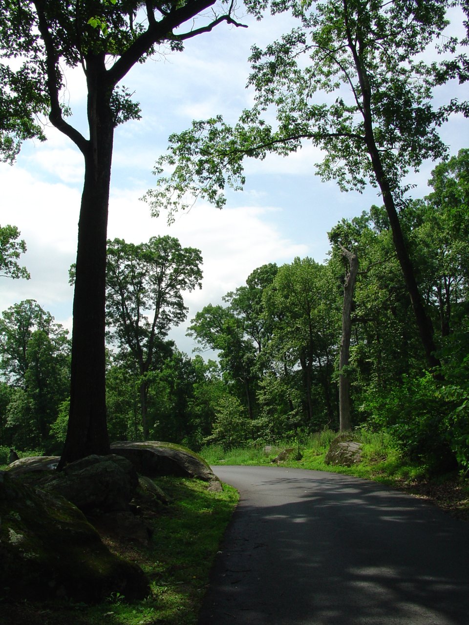 Park Road