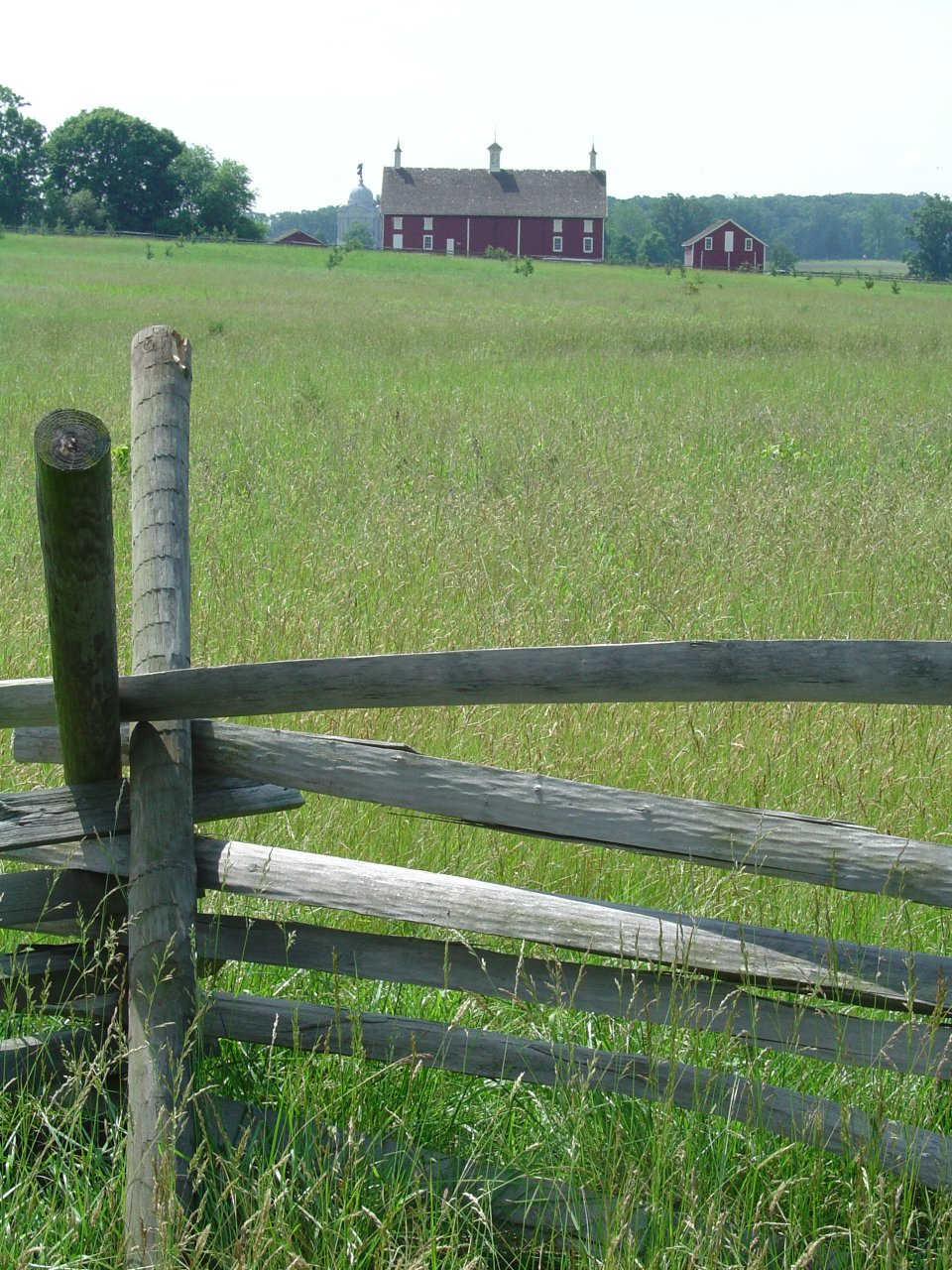 View across field