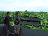 View from Tower at Culp's Hill