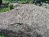 Rocks at Devil's Den