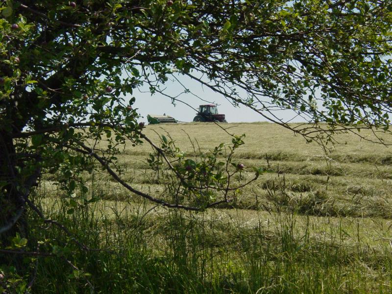 Cutting Fields - Click to Enlarge