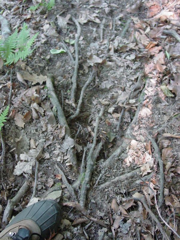 Tough Footing - Click to Enlarge