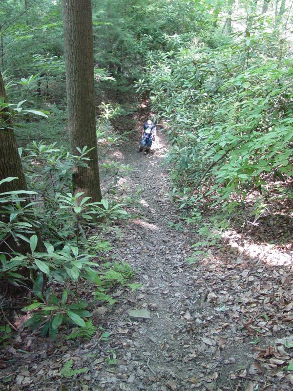 Ted finally down to the main trail