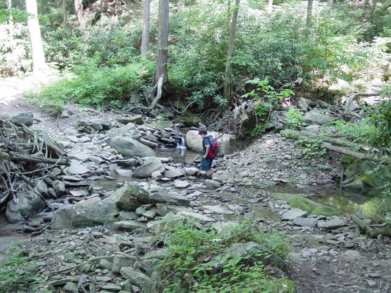 Ted at The Washout - Click to Enlarge
