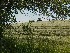 Cutting Fields