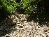 Rocks from a Slip