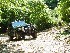 Jeep on the Slip