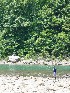 Ted at the Cheat River